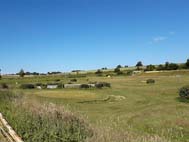 Golf de Mannevillette
